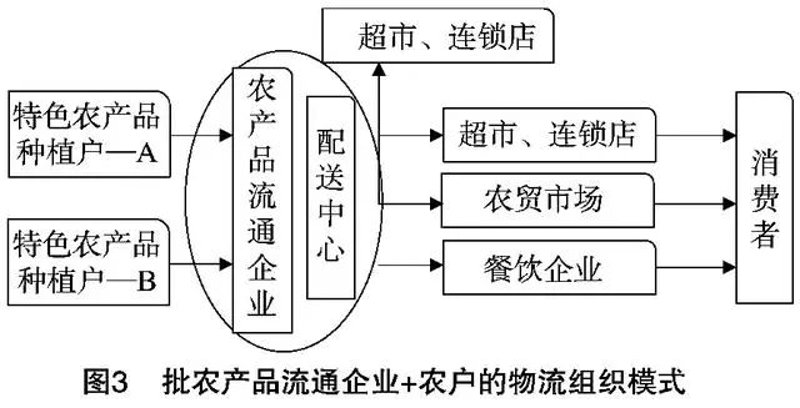 景宁县的农产品:绿色生态与地方特色的完美融合