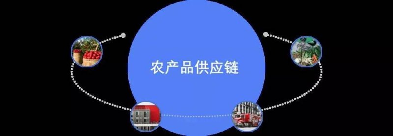 农产品代采行业洞察：寻找优质源头